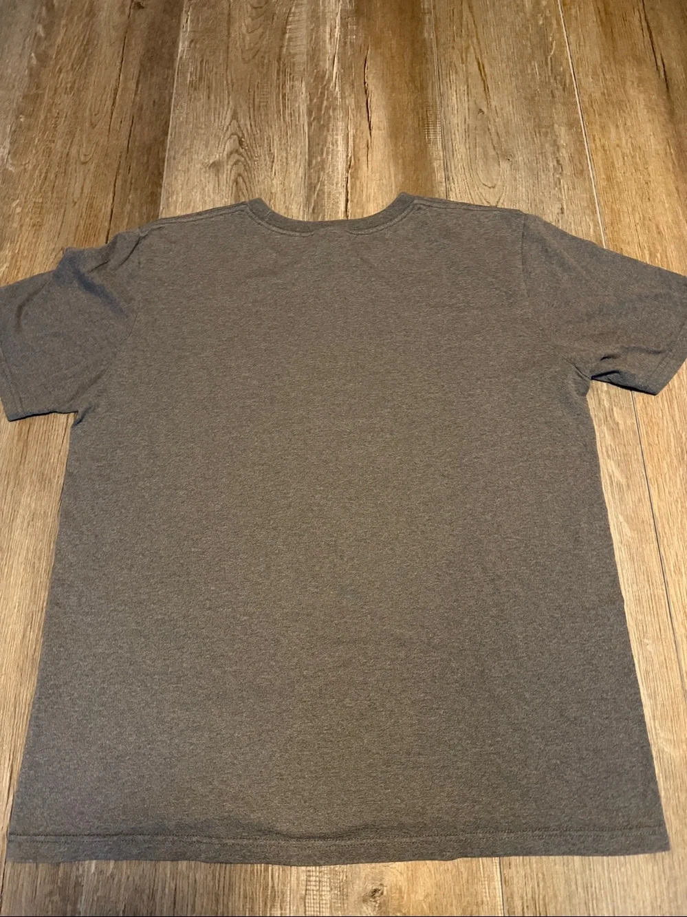 The North Face Men's Heather Gray Scenic Graphic Short-Sleeve Tee